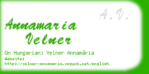 annamaria velner business card