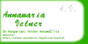 annamaria velner business card